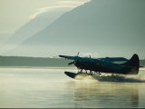 Float Plane, Brooks Camp, Katmai National Park, Alaska Photographic Print by Roy Toft