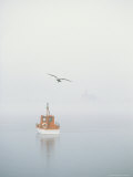 Seagull Soaring over a Boat at Anchor on a Foggy Morning Photographic Print by Michael Melford