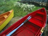 Colorful Rowboats Upon a Shore Near Wild Daisies Photographic Print by Michael Melford
