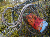 Patterns and Colors of Vintage Crab Traps and Floats Photographic Print by Stephen St. John