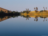 Palm Trees Line the Shore of Umm Al-Maa Photographie par Bobby Model