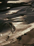 Close View of Tidal Mud Bathed in Sunlight Photographic Print by George Herben
