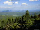 Allegheny Front with Mountain Laurel and Spruce Trees Photographic Print by Raymond Gehman