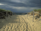 Fence-Lined Path To the Beach at Cape Cod National Seashore Photographie par Michael Melford