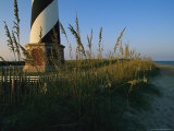 Sea Oats Bending in Wind Near the Cape Hatteras Lighthouse Photographic Print by Steve Winter