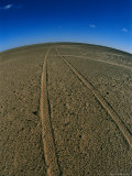 Vehicle Tracks in the Desert Photographie par Bobby Model
