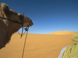 Man Leads a Camel Through the Sahara Desert Photographie par Bobby Model