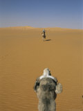 Tuareg Guide on a Camel Photographed From the Back of a Camel Photographie par Bobby Model