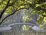Bridge in Planty Park in Early Morning Light Photographic Print by David Borland