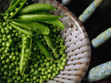 Freshly Podded Peas on Old Green Chair Photographic Print by John Hay