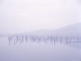 Lake Eildon in Rain Photographic Print by Angus Oborn