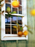 Wooden Framed Window of Country House Photographic Print by Linda Ching