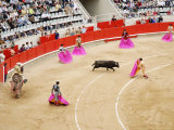 Bullfight at Placa De Braus Monumental, Barcelona, Spain Photographic Print by Dennis Johnson