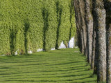Trees, Lawn and Shadows at Bergenhus Photographic Print by David Borland