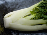 Bok Choy Photographic Print by Ray Laskowitz