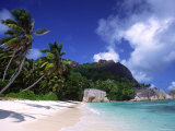 Beach, Palm Trees and Granite Rocks Photographic Print by Karl Blackwell