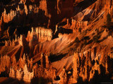 Hoodoos in Bryce Amphitheatre Photographic Print by Kraig Lieb