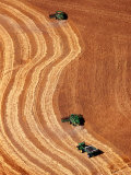 Aerial Combine Harvesters Harvesting Wheat, Hamilton County Photographie par Jim Wark