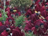 Monks at Prayer Photographic Print by Gavin Quirke