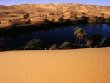 Umm Al-Maa Lake Surrounded by Date Palms and Sand Dunes, Sahara Desert Photographic Print by Anthony Ham