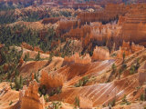 Canyon from Rim Trail Photographie par Stephen Saks