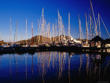 Yachts in Marina at Falmouth Harbour Photographie par Richard I'Anson