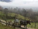 Gypsies Leave for Village, Transylvania Photographic Print by Gavin Quirke