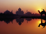 Taj Mahal and Silhouetted Camel and Reflection in Yamuna River at Sunset Photographie par Richard I'Anson