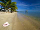 Nautical Inn Beach at Seine Bight, Belize Photographic Print by Tim Rock