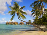 Intercontinental Moana Beach Bora Bora Bungalows Photographic Print by Emily Riddell