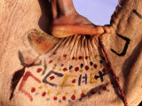 Decorated Touareg Camel Lámina fotográfica por Frans Lemmens
