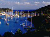 Nelson'S Dockyard and English Harbour Photographie par Richard I'Anson