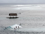 Surfers Catching a Wave Fotografisk trykk av Andrew Brownbill