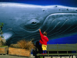 Child Reaches to Stroke a Whale Mural Fotografisk trykk av Fergus Blakiston Child Reaches to Stroke a Whale Mural Fotografisk trykk av Fergus Blakiston