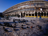 Pigeons Skate on Black Ice on Procuriate Vecchio in Venice Lámina fotográfica por Damien Simonis