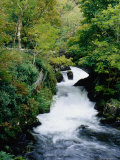 Stream and Small Waterfall in the Snowdonia National Park Fotografie-Druck von Greg Gawlowski