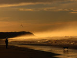 Seaspray, a Man and His Dog and Another Day Ends at 13th Beach at Barwon Heads Photographic Print by Bernard Napthine