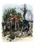 Sailors Digging for Captain Kidd's Pirate Treasure Giclee Print