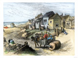 Pony Cart Hauling Water in Siasconset Village, Nantucket Island, 1870s Giclee Print Pony Cart Hauling Water in Siasconset Village, Nantucket Island, 1870s Giclee Print