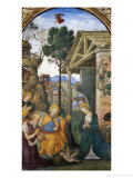 Adoration of the Shepherds Giclee Print by Bernardino di Betto Pinturicchio