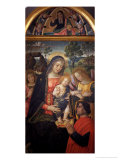 Madonna Della Pace Giclee Print by Bernardino di Betto Pinturicchio