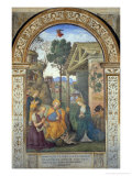 Adoration of the Shepherds Giclee Print by Bernardino di Betto Pinturicchio