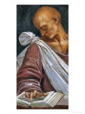 Sallustio Giclee Print by Luca Signorelli
