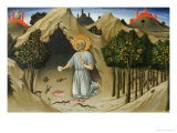 Saint Jerome in the Wilderness reproduction procédé giclée par Sano di Pietro 