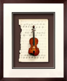 Violin Dimensional Product