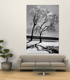 Trees in the Snow Wall Mural by Alfred Eisenstaedt