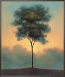 Solitude I Framed Canvas Print by Darlou Gams