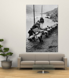 2 Rows of Chinese Trackers Plodding Along Bank of Yangtze River Towing a Junk Slowly Up River Wall Mural by Dmitri Kessel