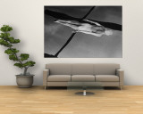 Swimmer Jeanne Wilson Underwater Wall Mural by Wallace Kirkland
