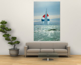 The Sailboat Nefertiti Competing in the America's Cup Trials Wall Mural by George Silk